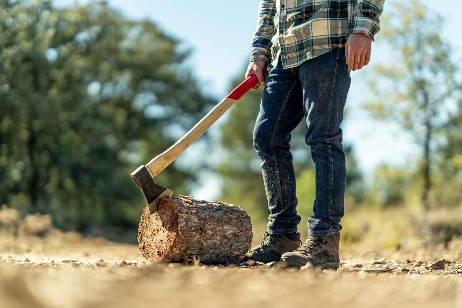 Best Stump Grinding Near Me  in USA